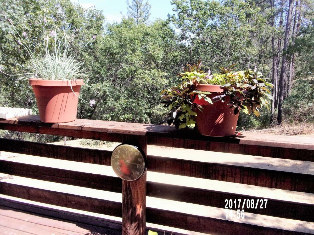 The Cub Inn B&B Groveland Esterno foto